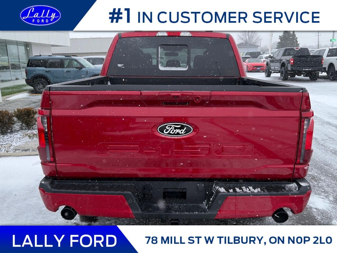 2025 Ford F-150 XLT 4WD SuperCrew 5.5' Box Photo