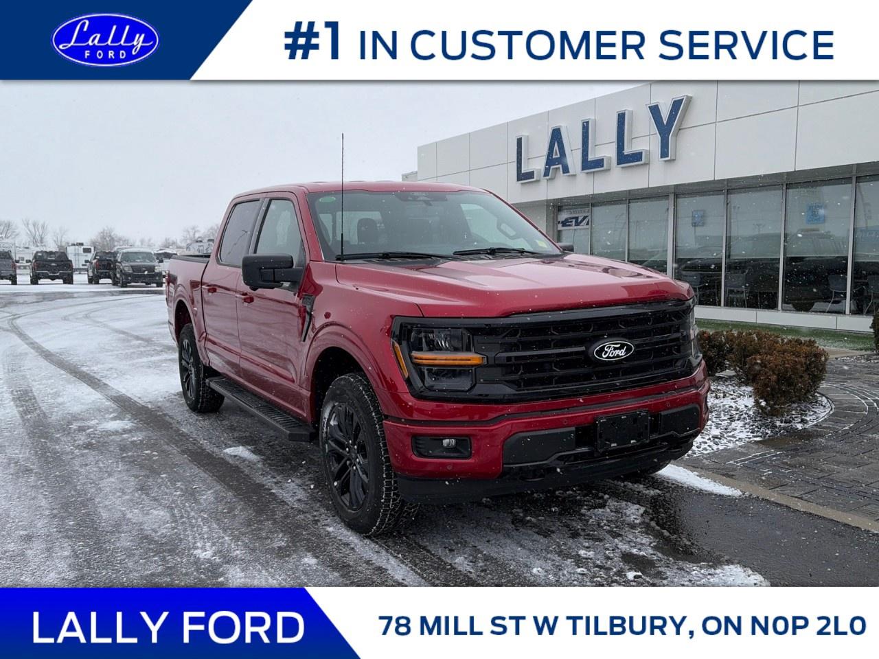 2025 Ford F-150 XLT 4WD SuperCrew 5.5' Box Photo0