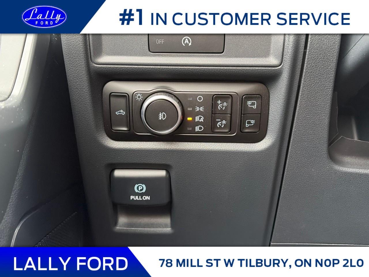 2025 Ford F-150 XLT 4WD SuperCrew 5.5' Box Photo