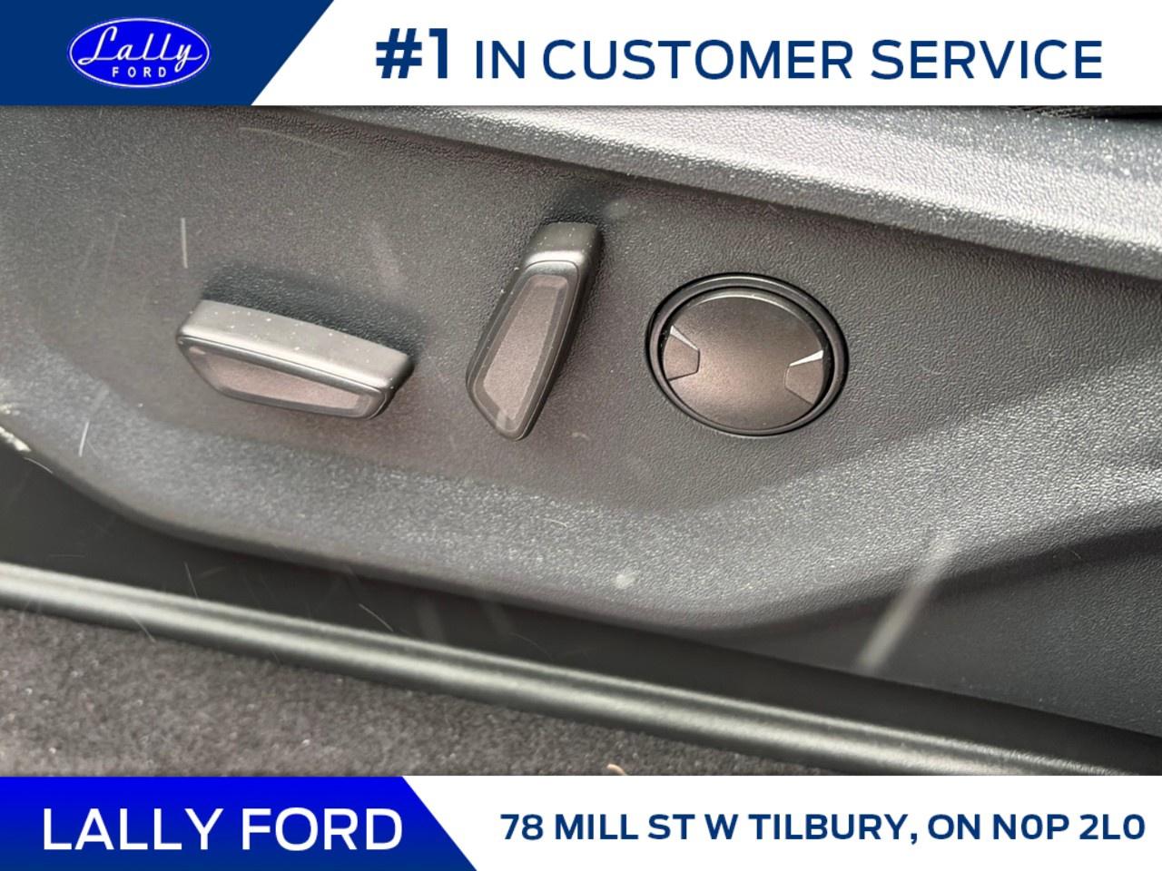 2025 Ford F-150 XLT 4WD SuperCrew 5.5' Box Photo