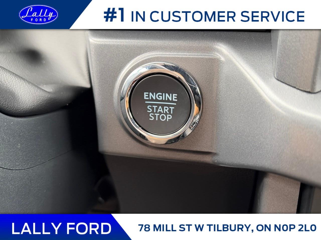 2025 Ford F-150 XLT 4WD SuperCrew 5.5' Box Photo