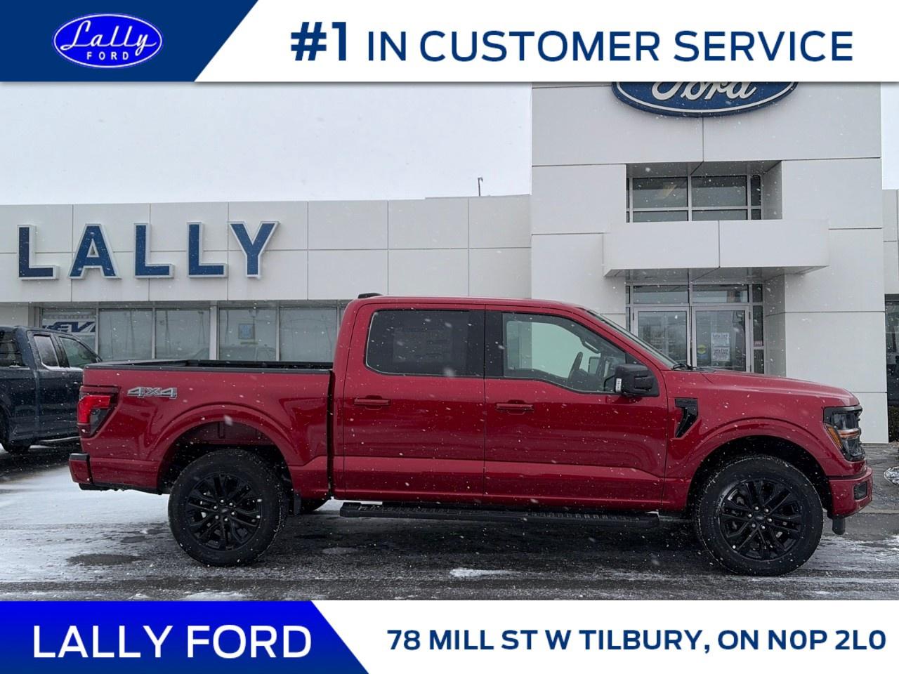 2025 Ford F-150 XLT 4WD SuperCrew 5.5' Box Photo