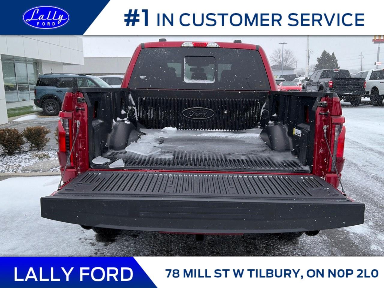 2025 Ford F-150 XLT 4WD SuperCrew 5.5' Box Photo