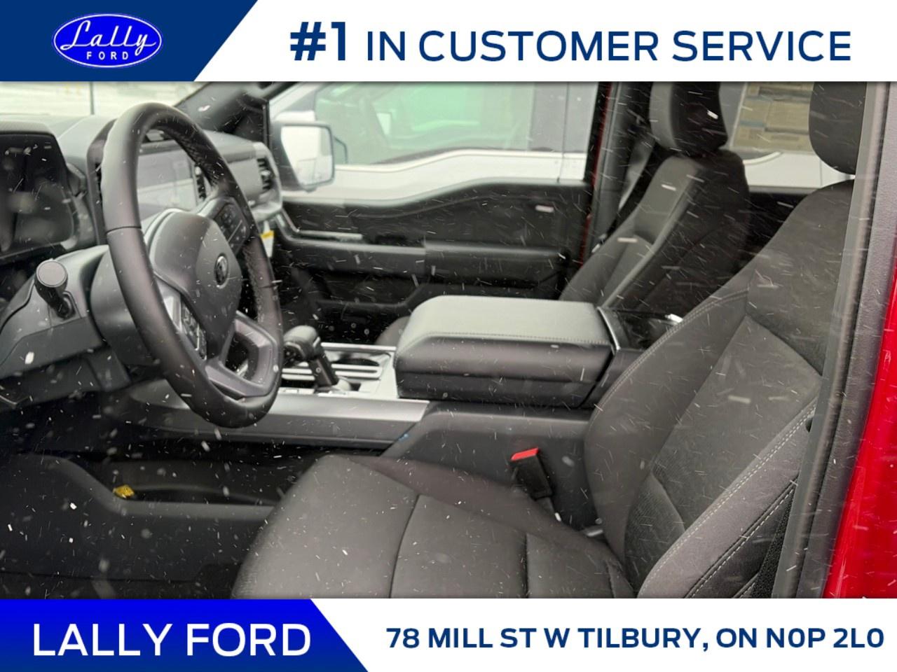 2025 Ford F-150 XLT 4WD SuperCrew 5.5' Box Photo