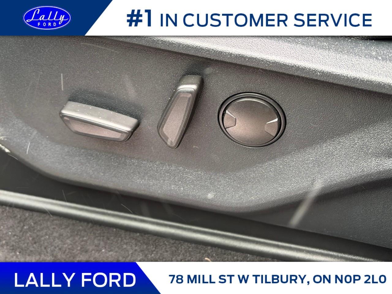 2025 Ford F-150 XLT 4WD SuperCrew 5.5' Box Photo