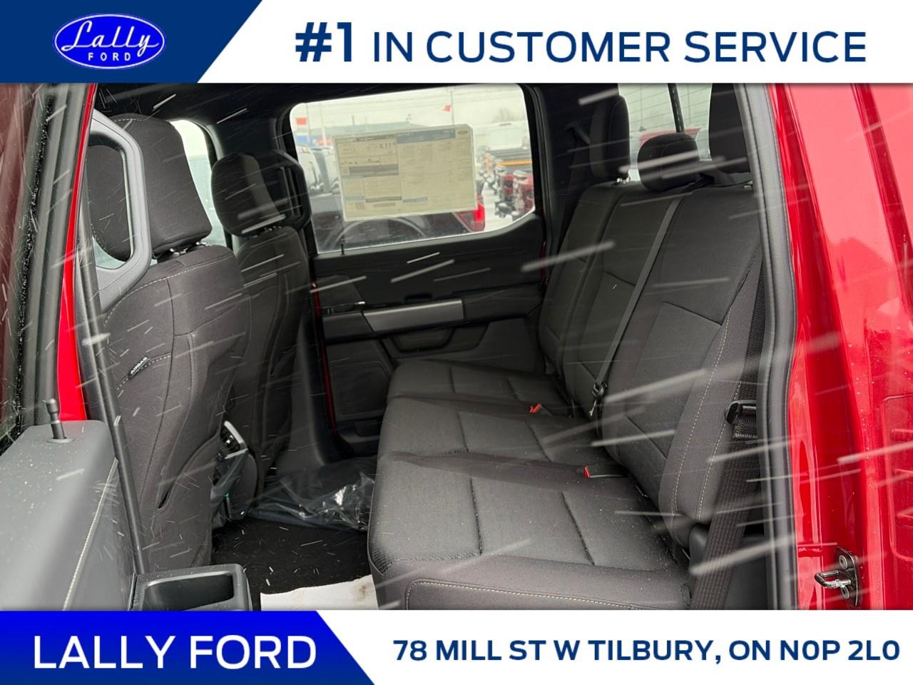 2025 Ford F-150 XLT 4WD SuperCrew 5.5' Box Photo