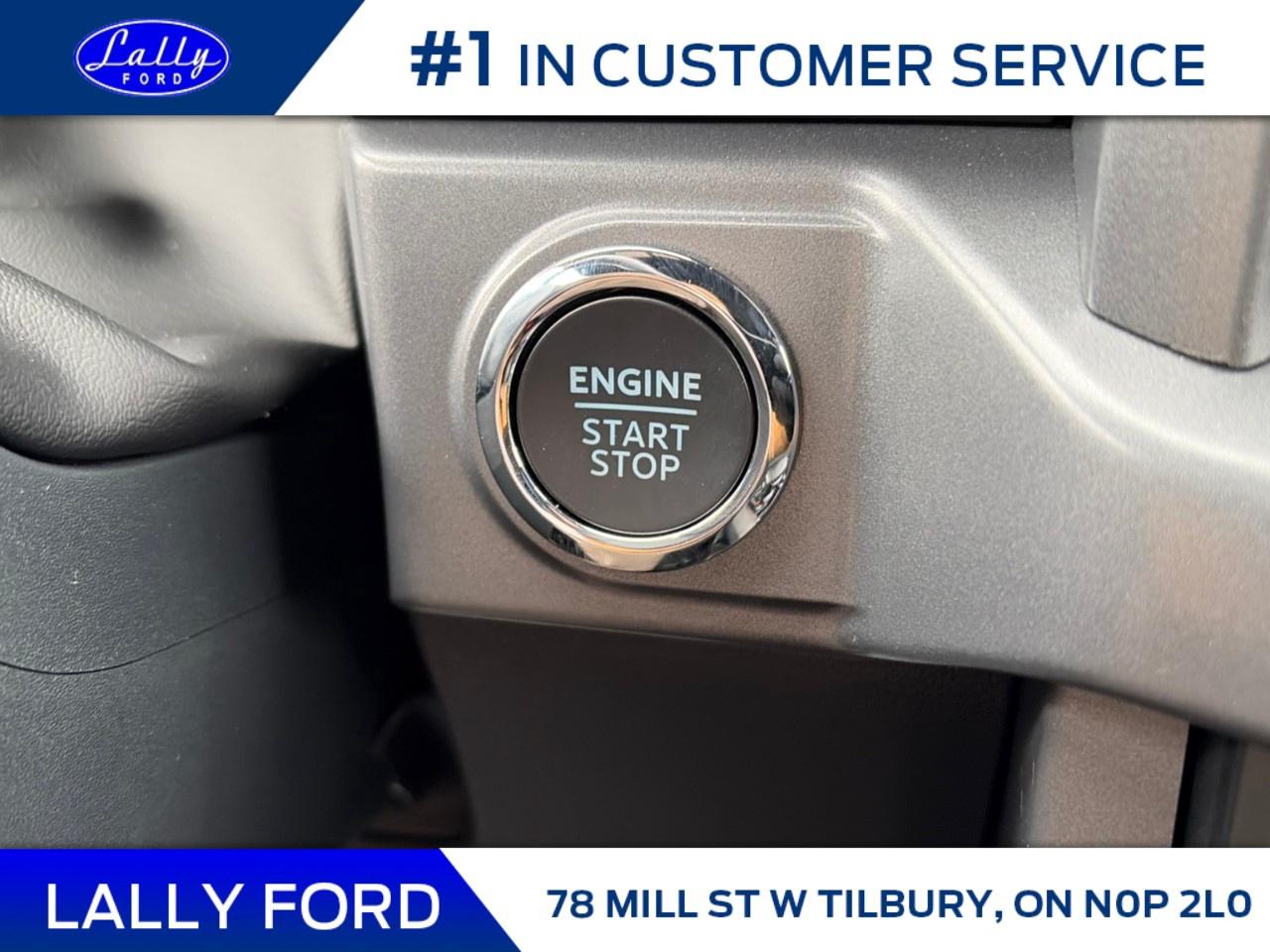 2025 Ford F-150 XLT 4WD SuperCrew 5.5' Box Photo