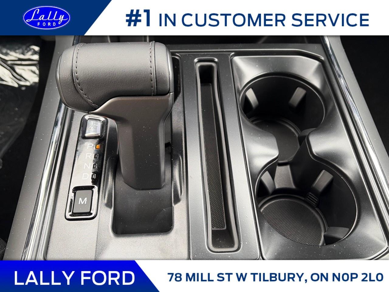 2025 Ford F-150 XLT 4WD SuperCrew 5.5' Box Photo