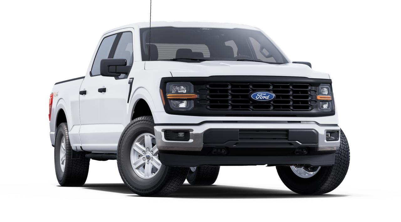 2025 Ford F-150 XL Photo