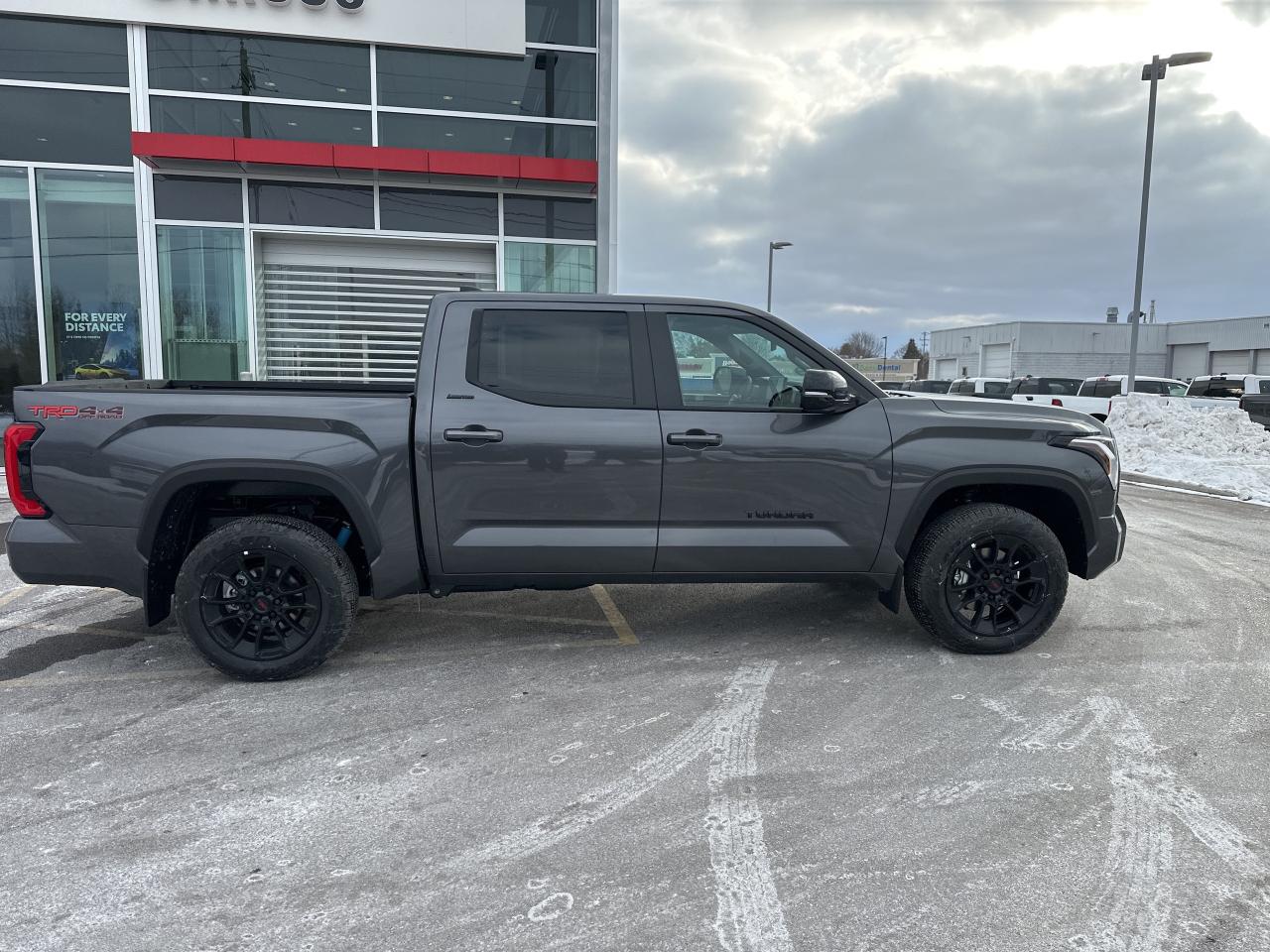 2026 Toyota Tundra Limited  Photo