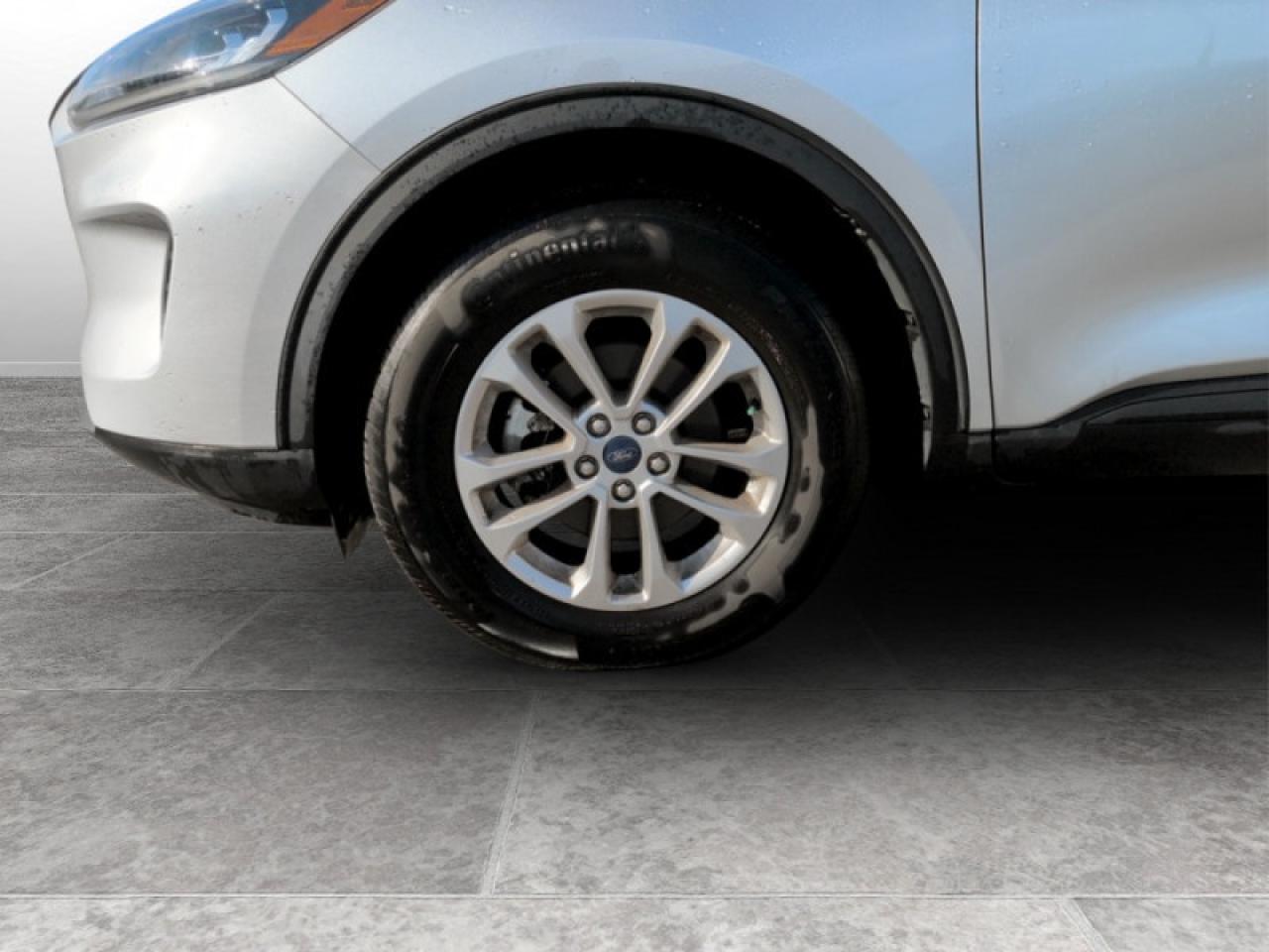 2020 Ford Escape SE  - Low Mileage Photo