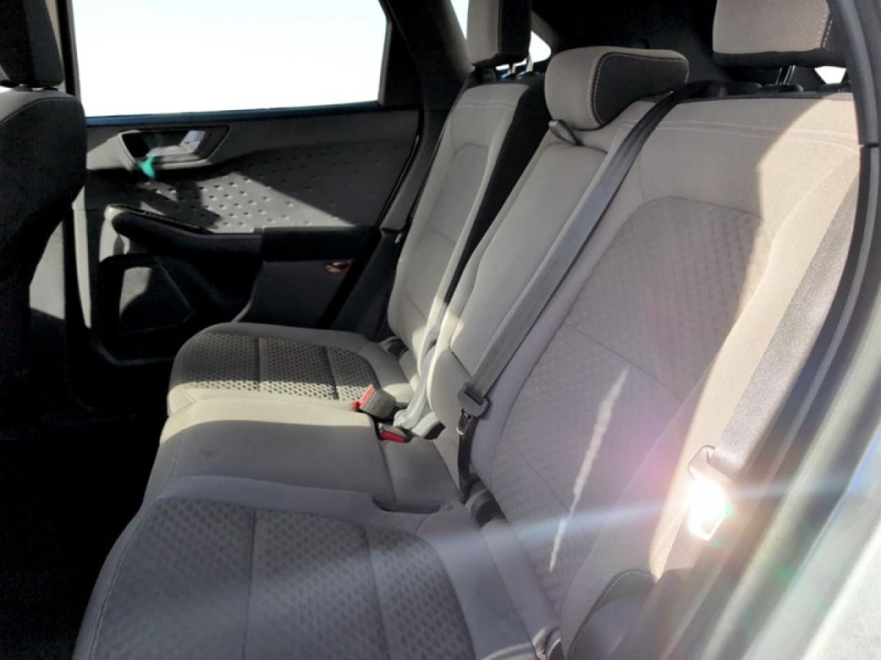 2020 Ford Escape SE  - Low Mileage Photo