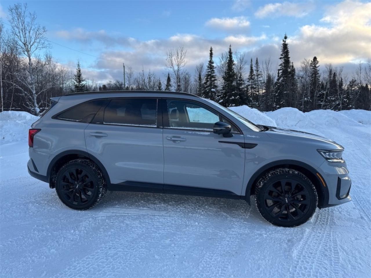 2022 Kia Sorento SX  Panoramic Sunroof - $248 B/W Photo