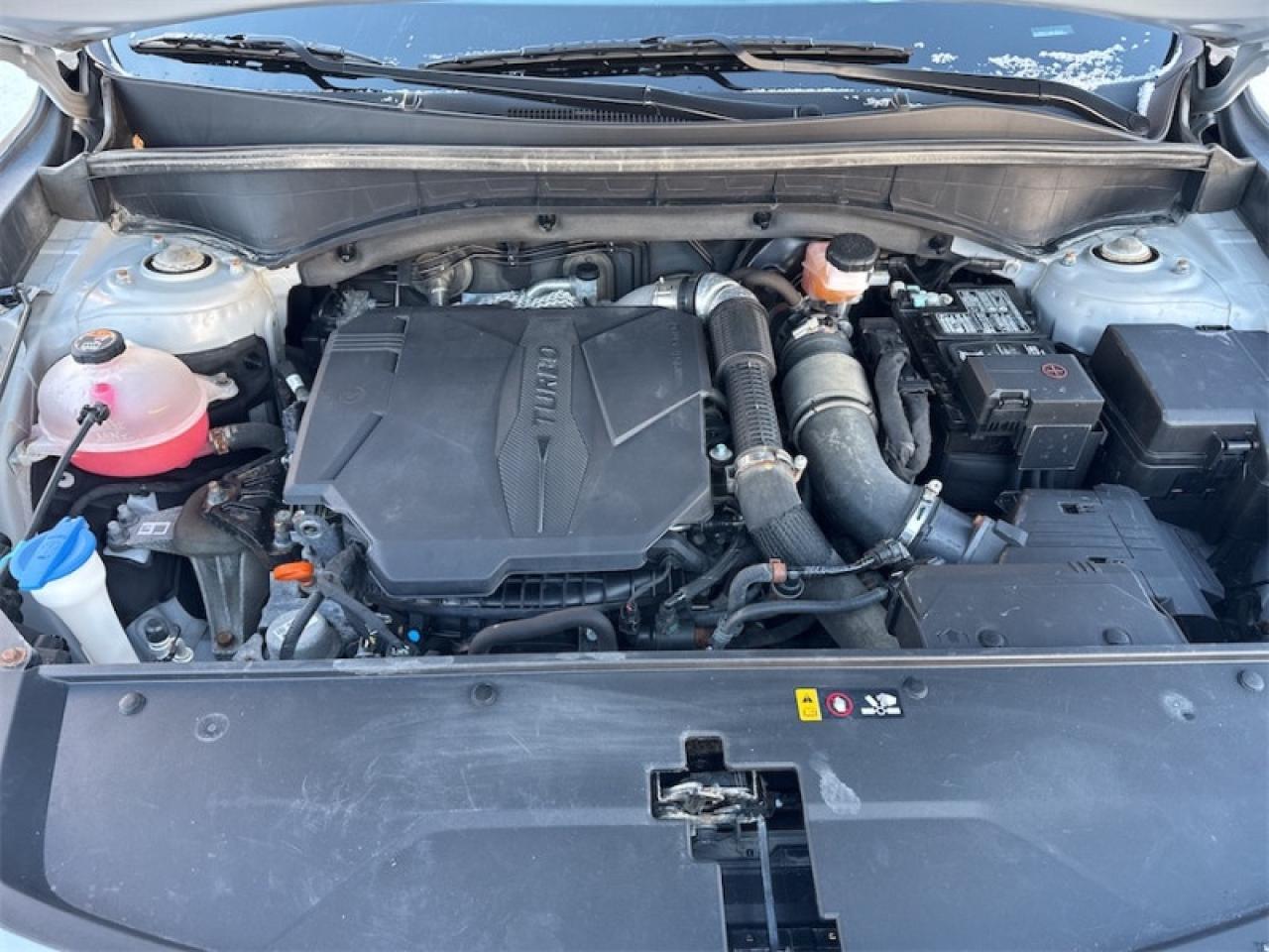 2022 Kia Sorento SX  Panoramic Sunroof - $248 B/W Photo