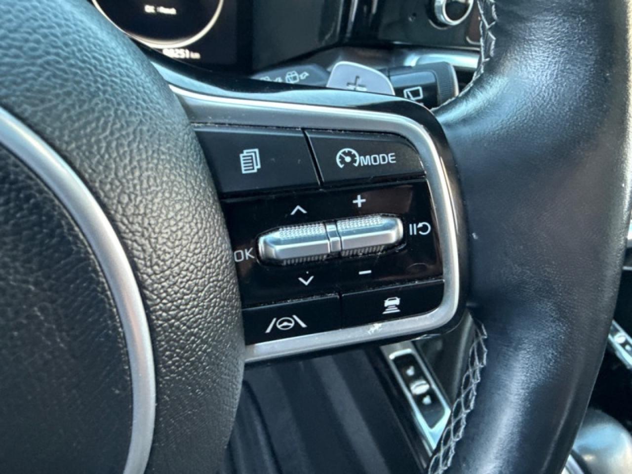 2022 Kia Sorento SX  Panoramic Sunroof - $248 B/W Photo