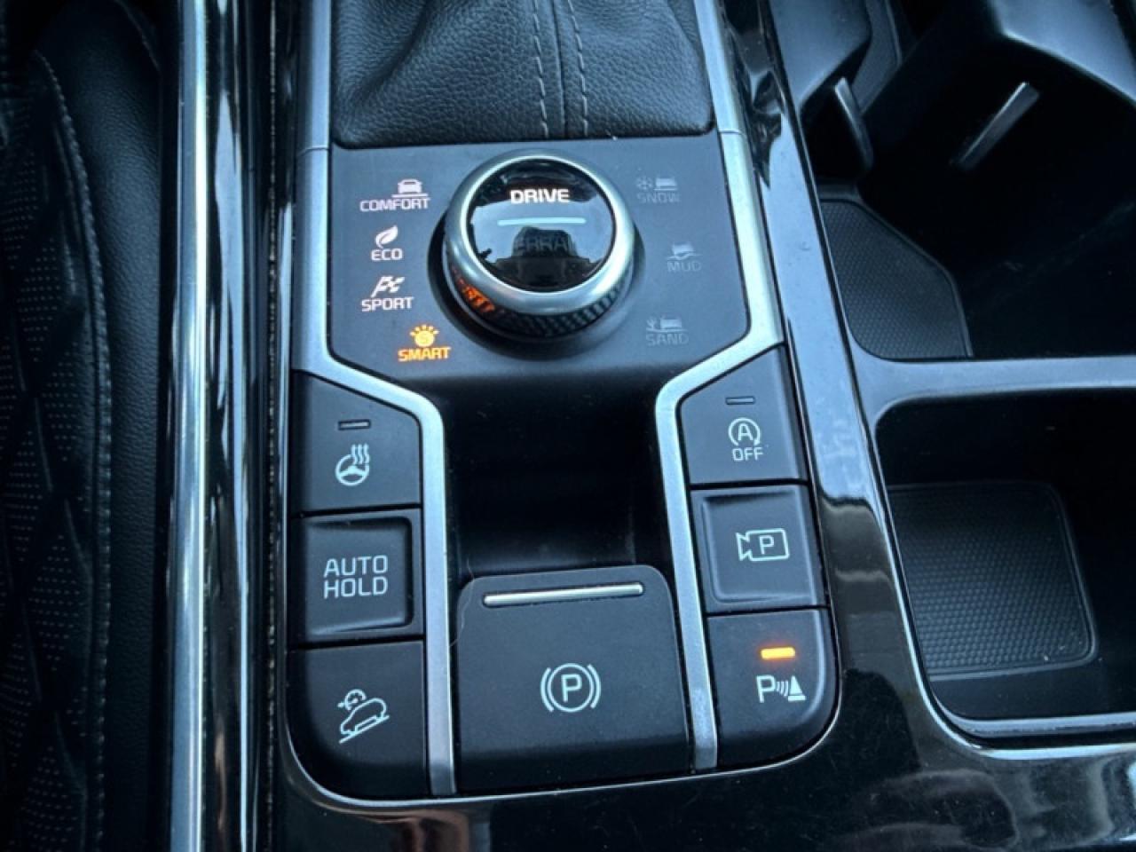 2022 Kia Sorento SX  Panoramic Sunroof - $248 B/W Photo