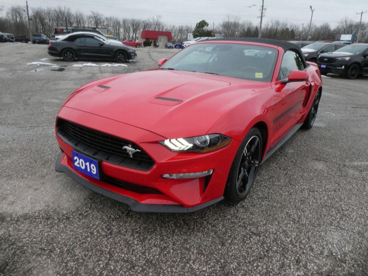 2019 Ford Mustang GT Premium Photo0