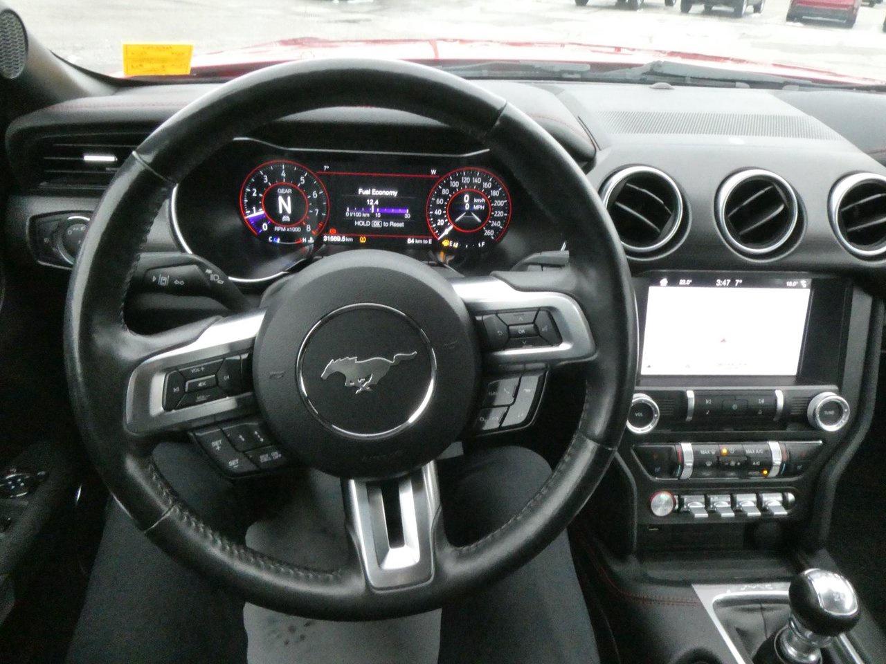 2019 Ford Mustang GT Premium Photo