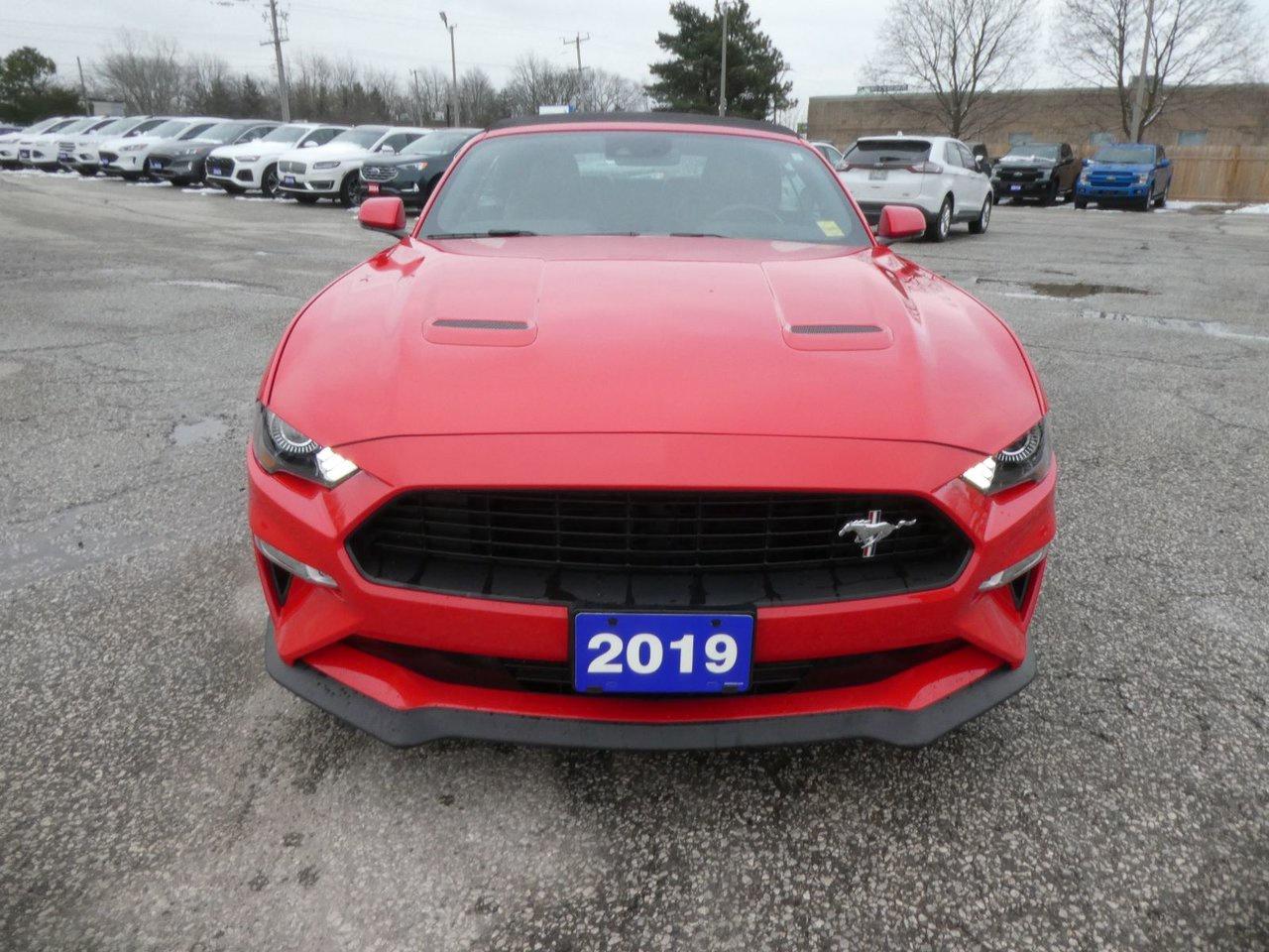 2019 Ford Mustang GT Premium Photo