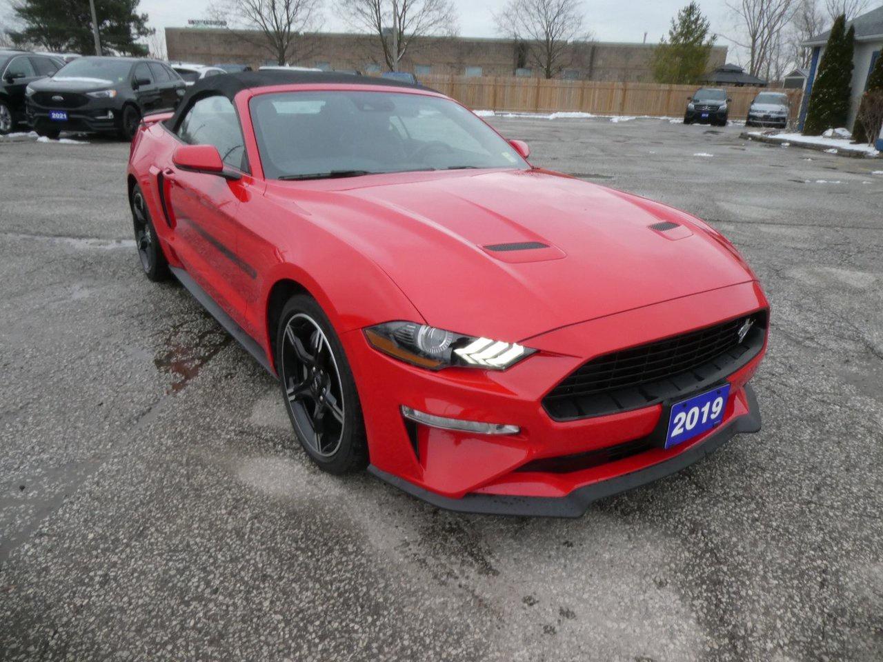 2019 Ford Mustang GT Premium Photo
