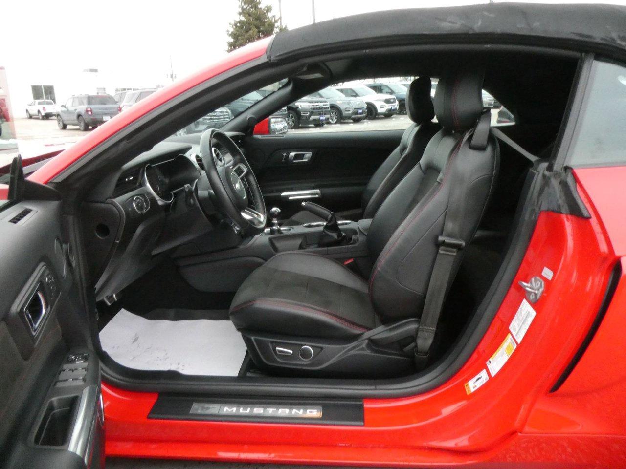 2019 Ford Mustang GT Premium Photo