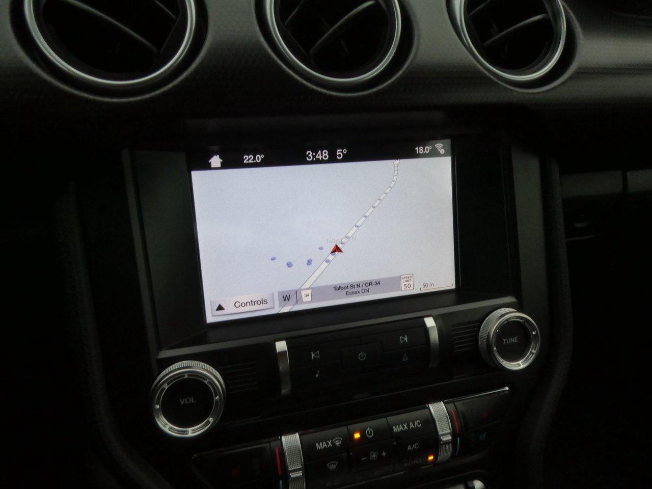 2019 Ford Mustang GT Premium Photo