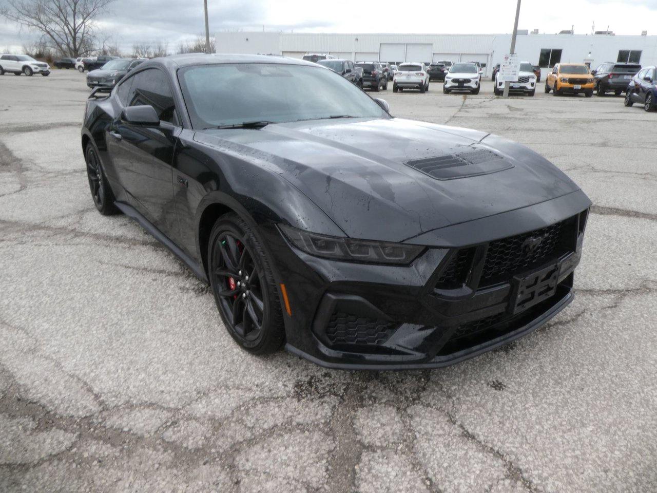 2025 Ford Mustang GT Premium Photo