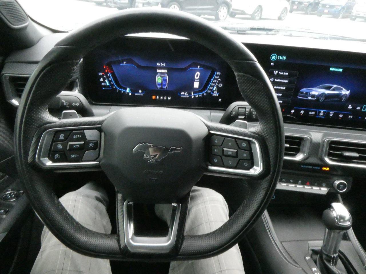 2025 Ford Mustang GT Premium Photo