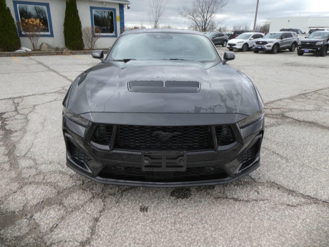 2025 Ford Mustang GT Premium Photo