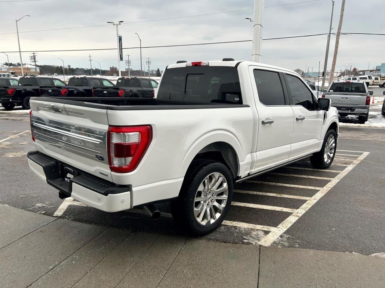 2022 Ford F-150 Limited  Photo4