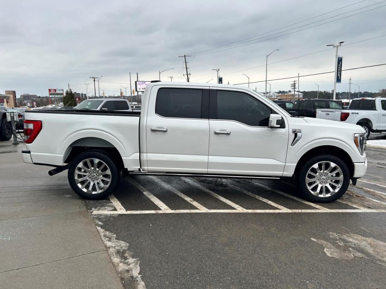 2022 Ford F-150 Limited  Photo