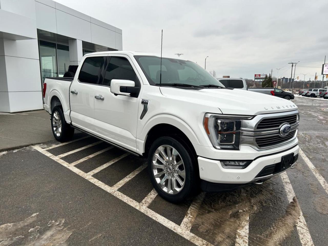2022 Ford F-150 Limited  Photo
