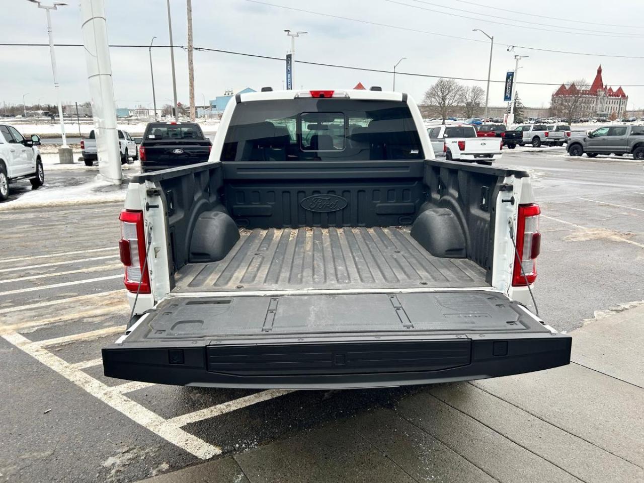 2022 Ford F-150 Limited  Photo
