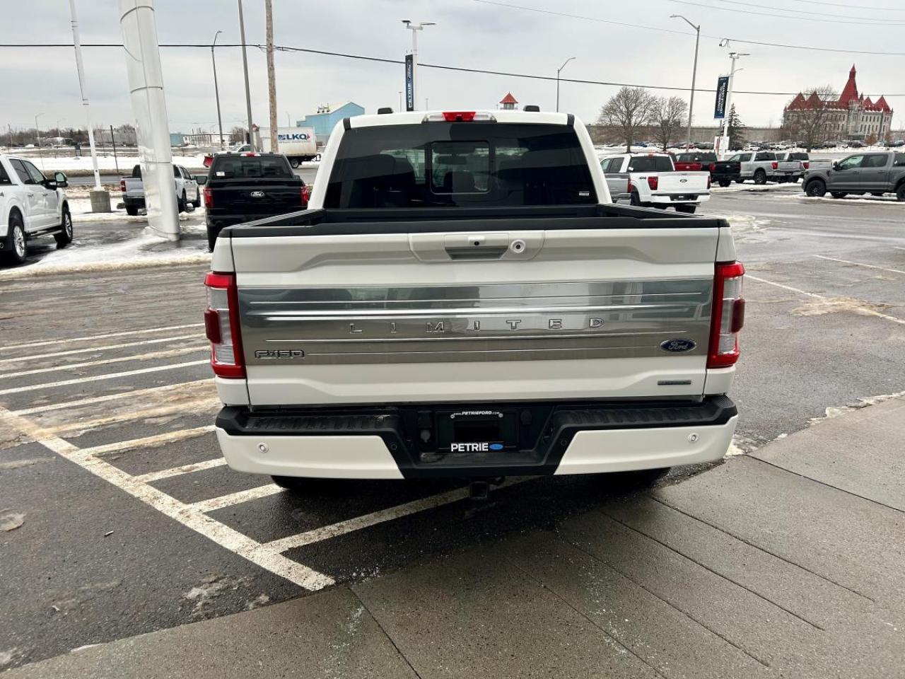 2022 Ford F-150 Limited  Photo