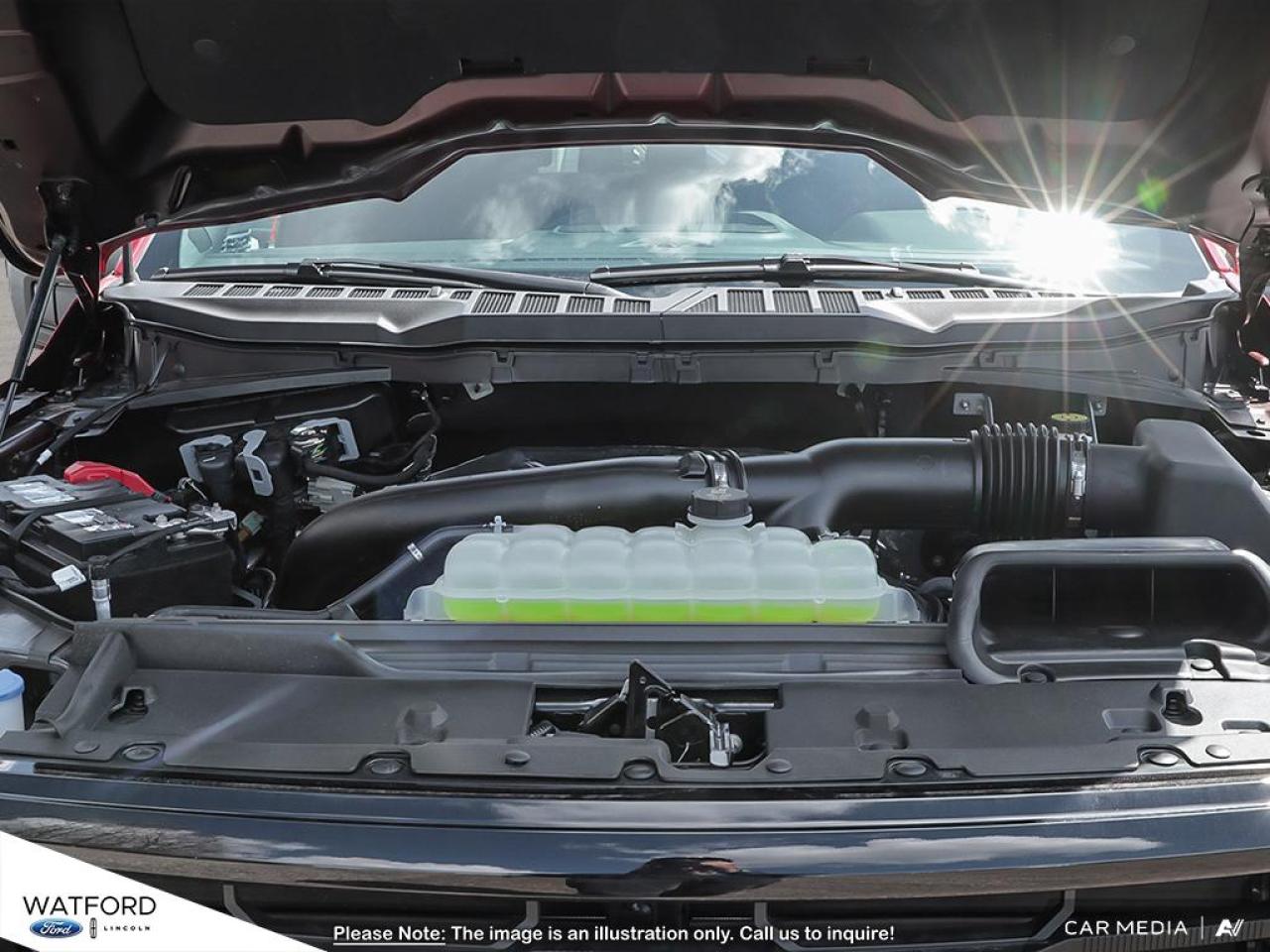 2025 Ford F-150 XLT Photo