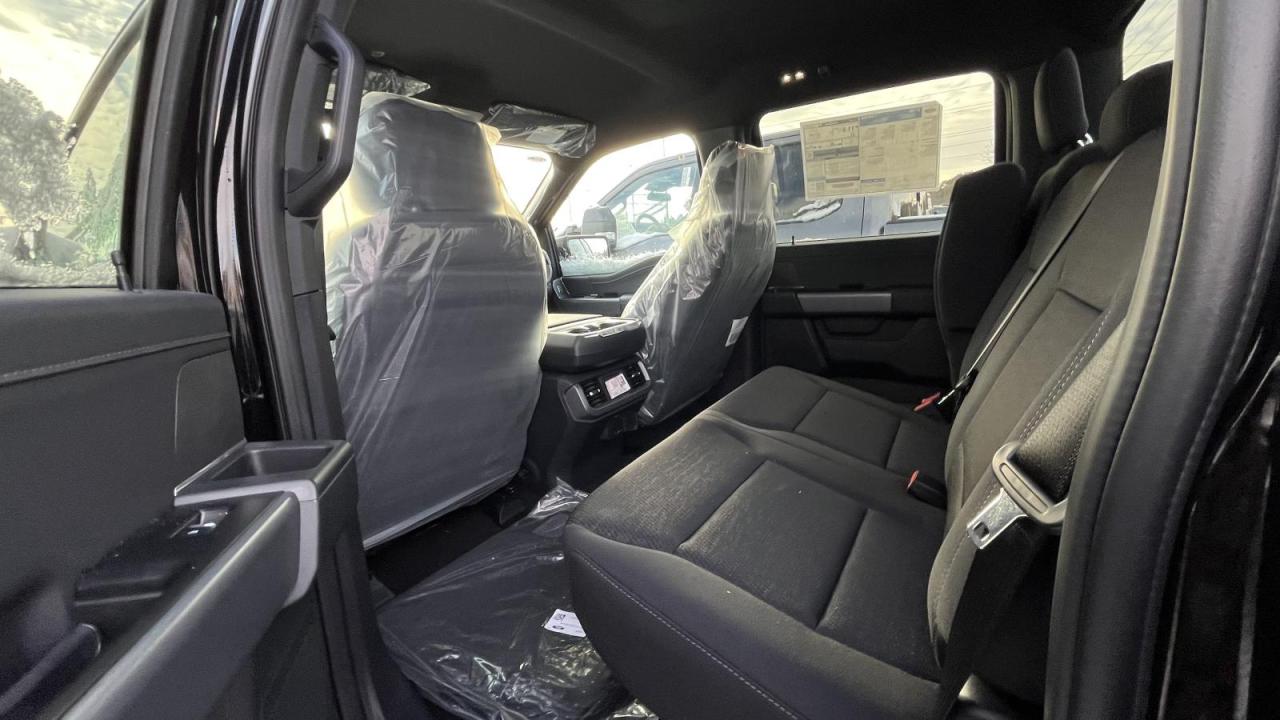 2025 Ford F-150 XLT Photo