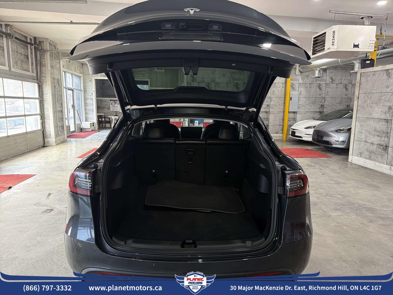 2024 Tesla Model Y  Photo