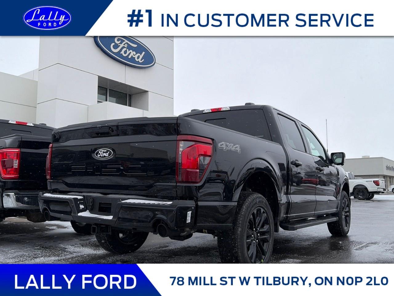 2025 Ford F-150 XLT 4WD SuperCrew 5.5' Box Photo