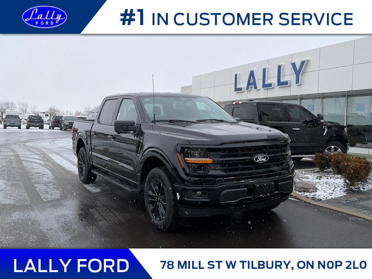 2025 Ford F-150 XLT 4WD SuperCrew 5.5' Box Photo0