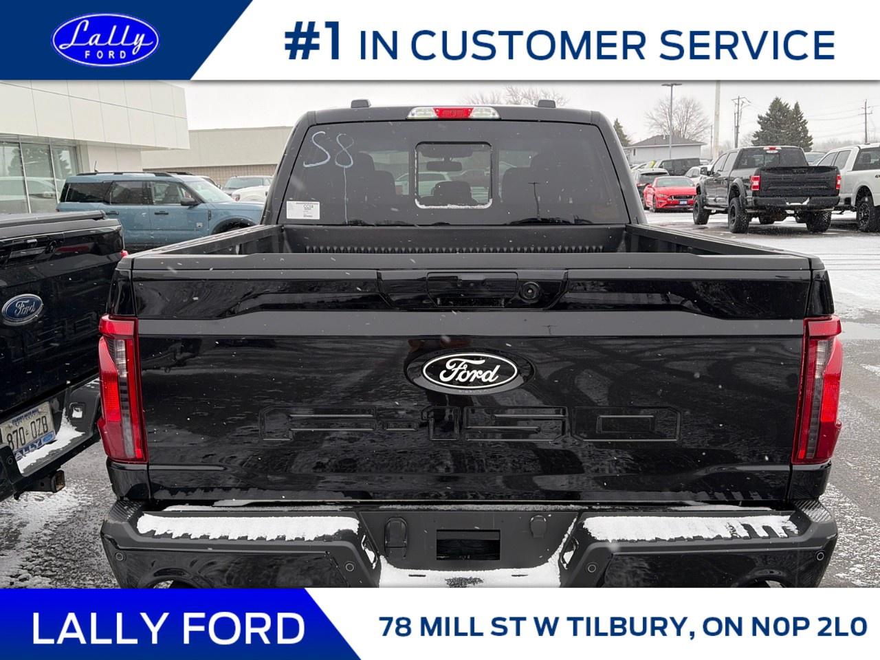 2025 Ford F-150 XLT 4WD SuperCrew 5.5' Box Photo3