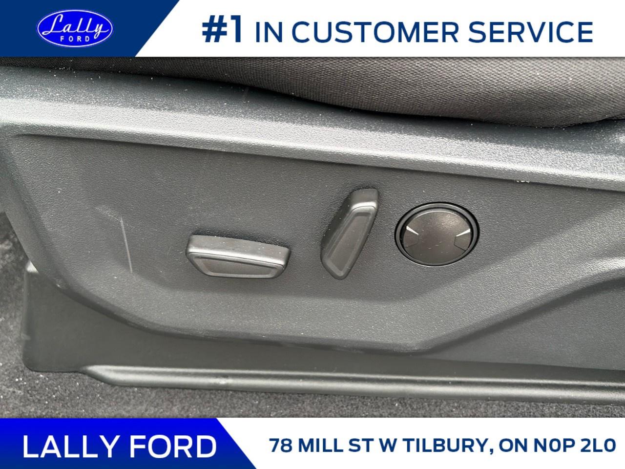 2025 Ford F-150 XLT 4WD SuperCrew 5.5' Box Photo