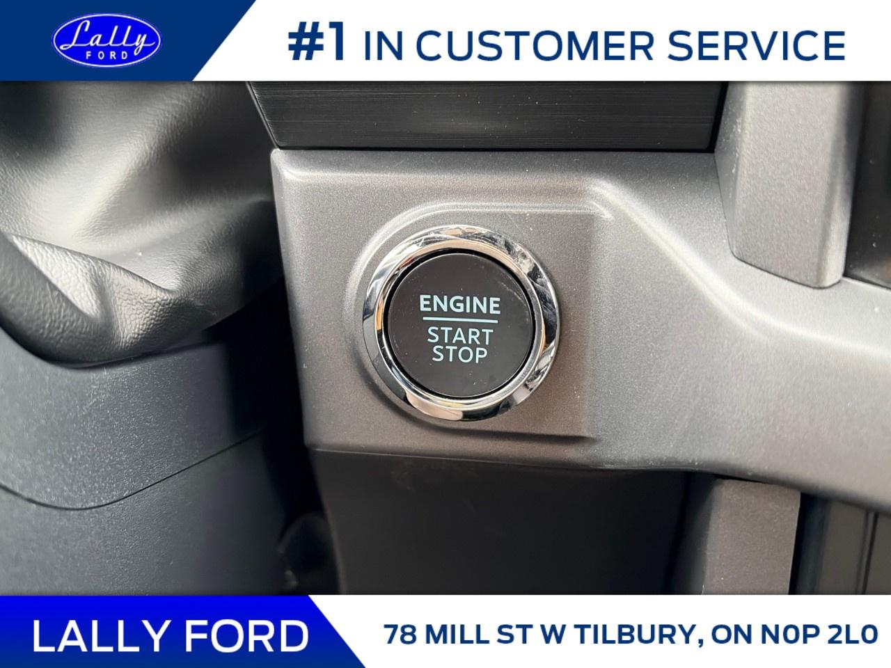 2025 Ford F-150 XLT 4WD SuperCrew 5.5' Box Photo