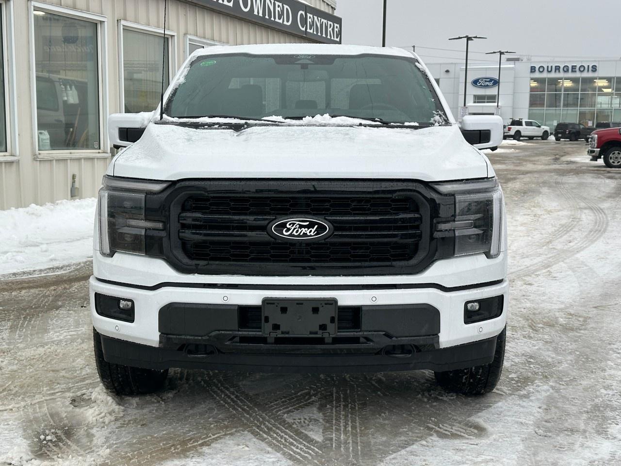 2025 Ford F-150 Lariat 4WD SuperCrew 5.5' Box Photo