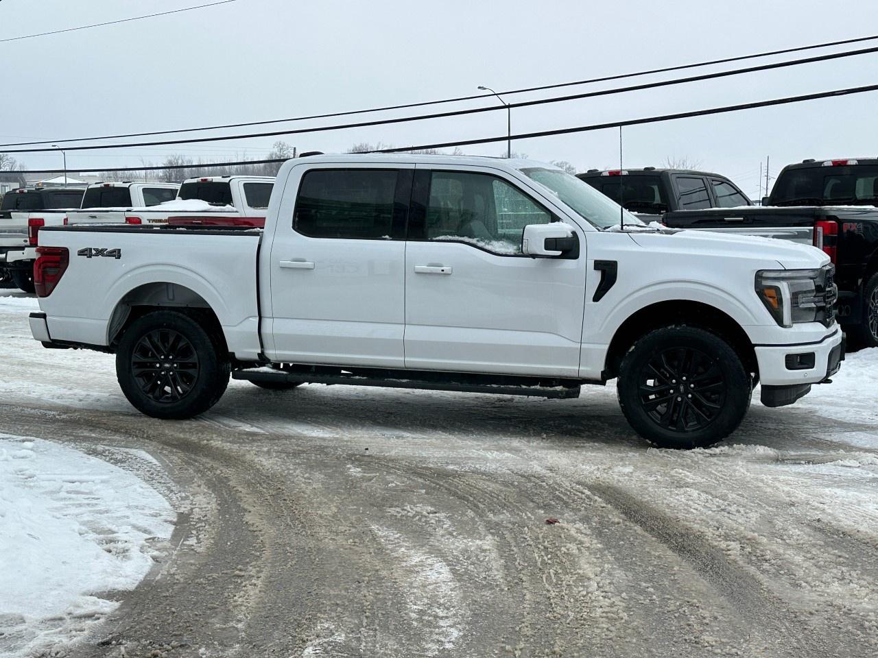 2025 Ford F-150 Lariat 4WD SuperCrew 5.5' Box Photo