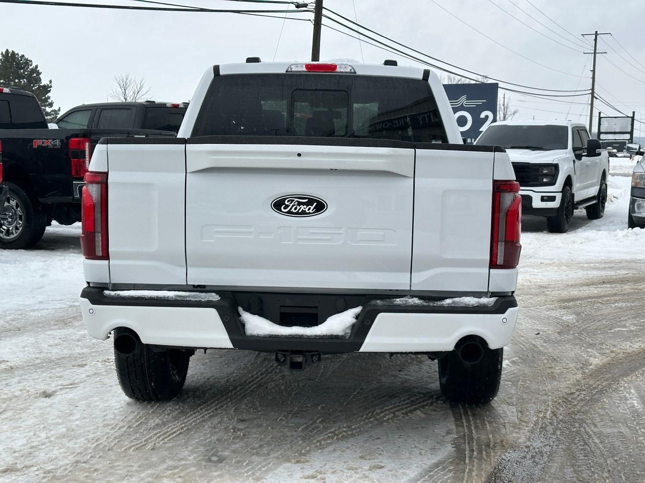 2025 Ford F-150 Lariat 4WD SuperCrew 5.5' Box Photo