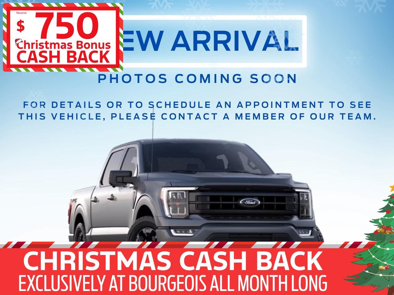 2025 Ford F-150 STX 4WD SuperCrew 5.5' Box Photo0