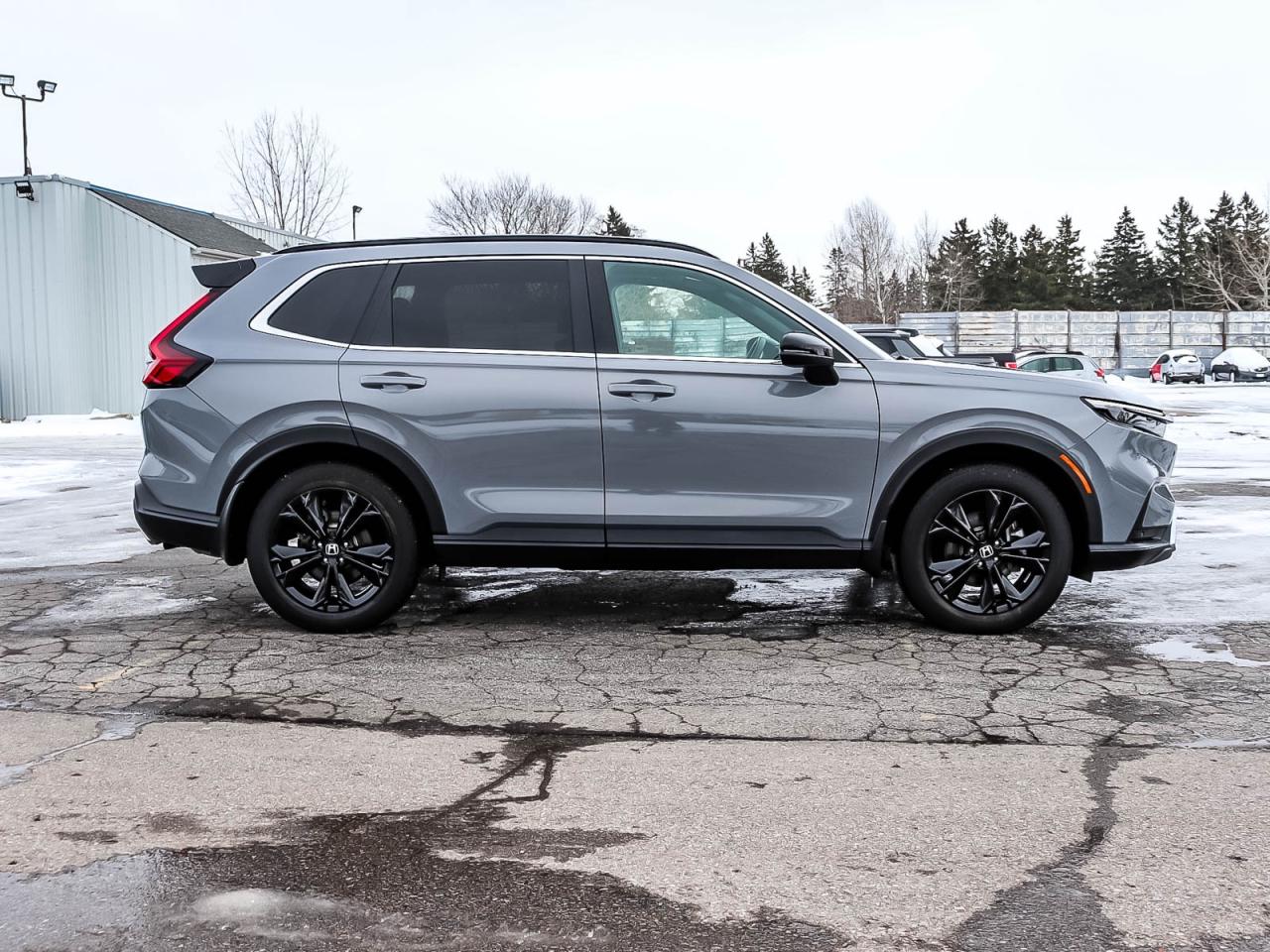 2025 Honda CR-V Touring Photo
