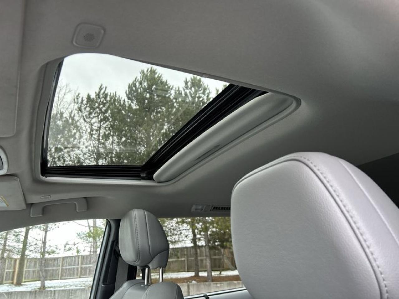 2025 Toyota Sienna XLE | Sunroof | Heated Seats | Leather Seats Photo