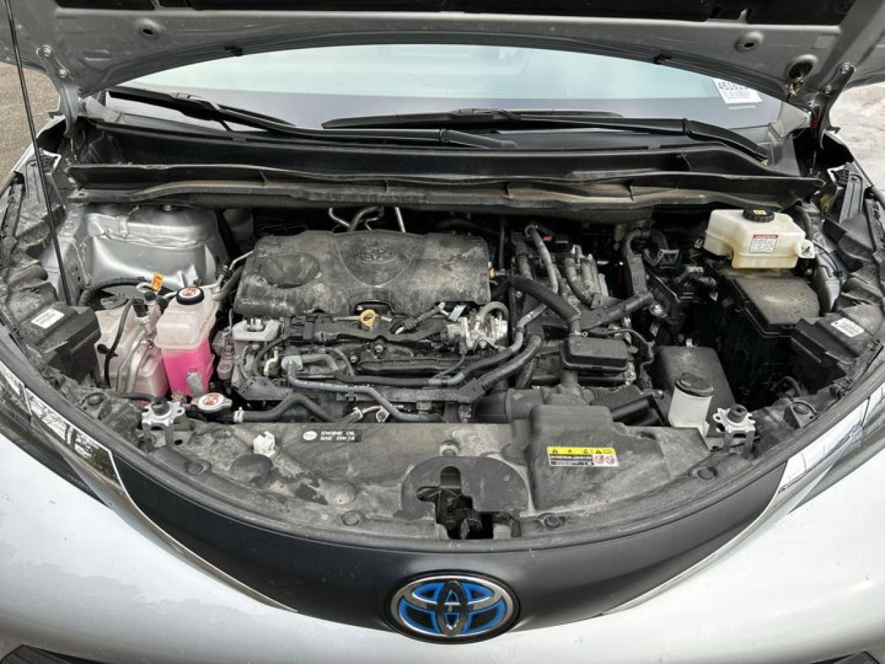 2025 Toyota Sienna XLE | Sunroof | Heated Seats | Leather Seats Photo