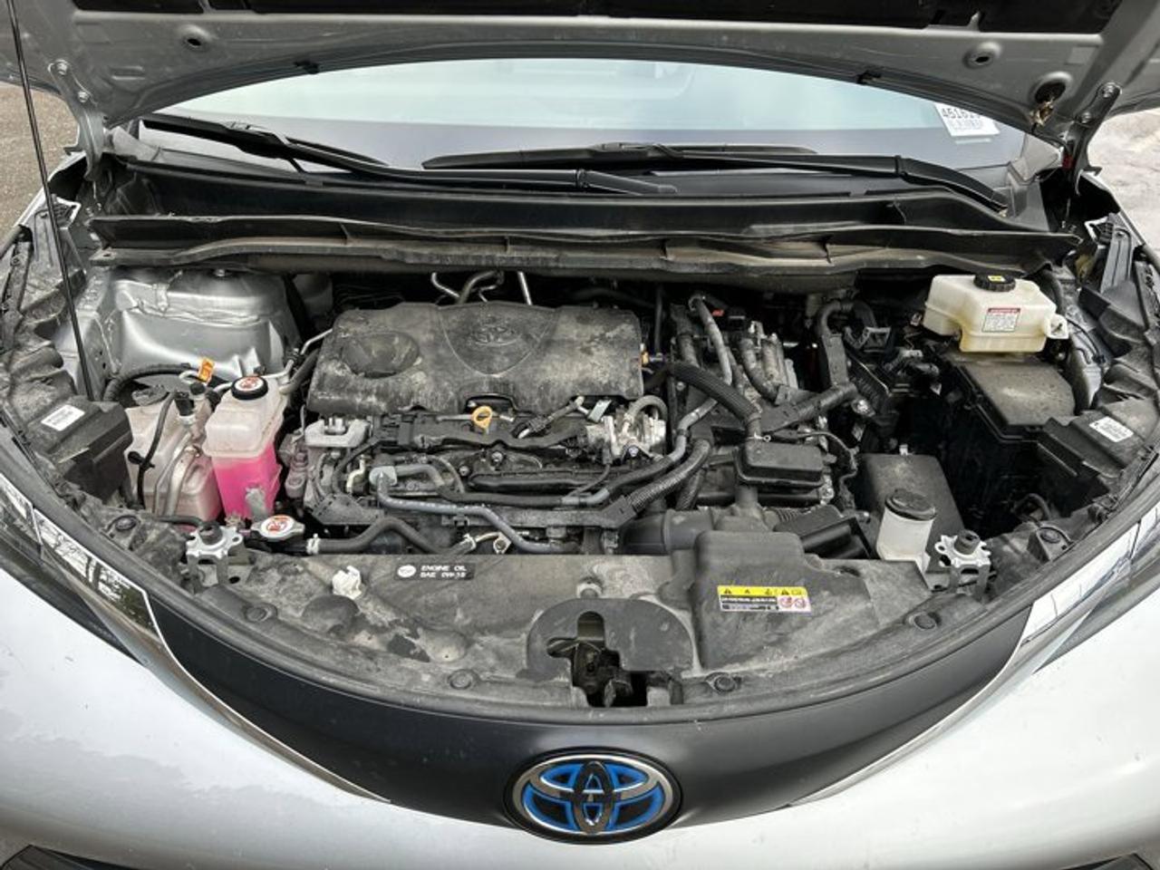 2025 Toyota Sienna XLE 8-Passenger | Heated Seats | Leather Seats Photo